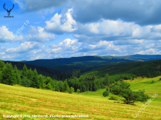 Levočské vrchy z Brezovej...