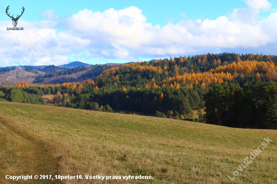 novembrová...