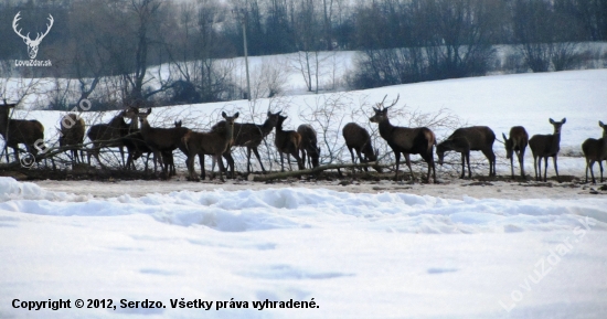 vidíme Ťa