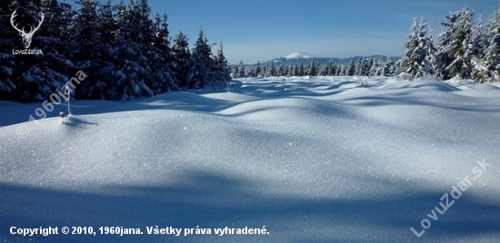 Kráľová hoľa z Knoly