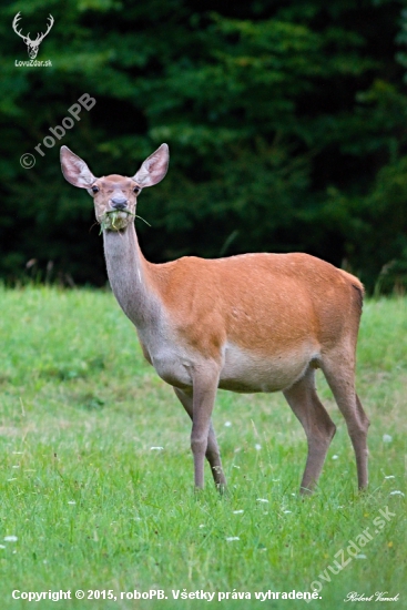 poprial som jej dobrú chuť...