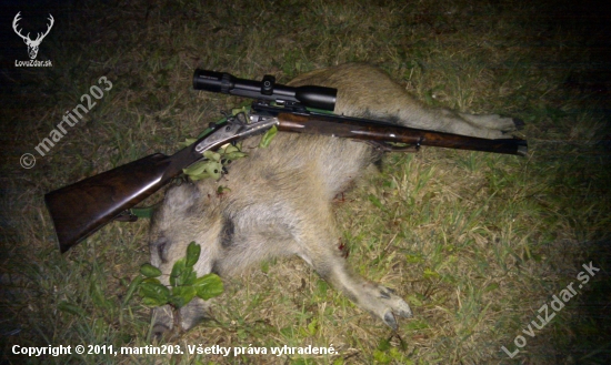 POZOR!!! Puma americka na Myjavských kopaniciach