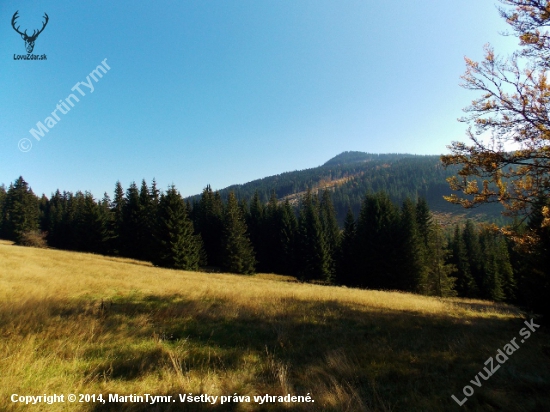 Šumava.