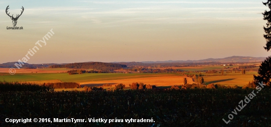 Z večerní čekaný u kukuřice.