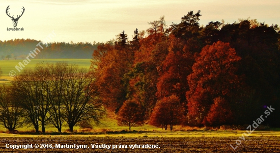 Z čekané ze židličky.