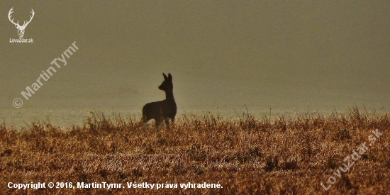 Z čekané ze židličky.