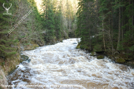 řeka Vydra, Šumava