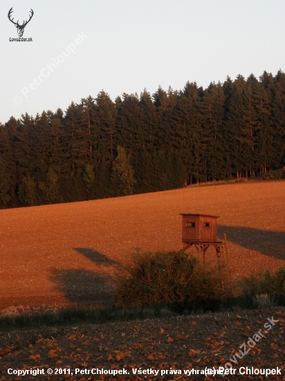 Západ slunce nad lesem...