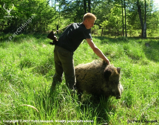 Naše posila při sběru shozů