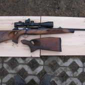 Sauer 202