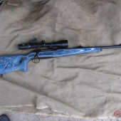 Sauer 202