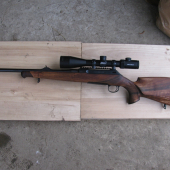 Sauer 100