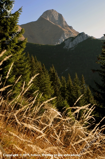 Ždiarska vidla