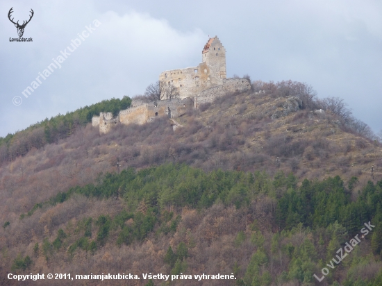 Spoločná poľovačka pod hradom Podhradie