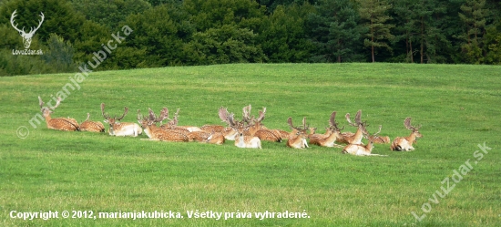 po obede odpočinok