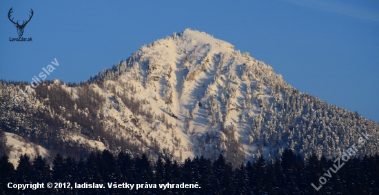 Zasnežená Ostrá (vrch vo Veľkej Fatre)