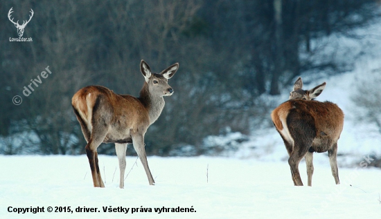 Chvílku pauza