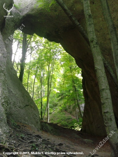 Šarkania diera