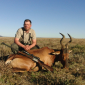 Hartebeest