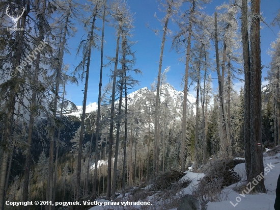 Tatry