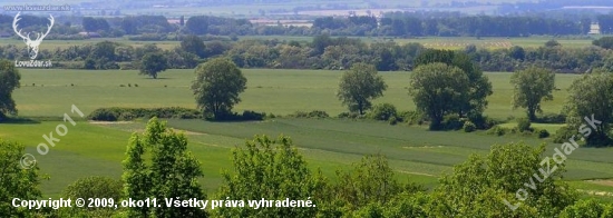 Ondavska rovina