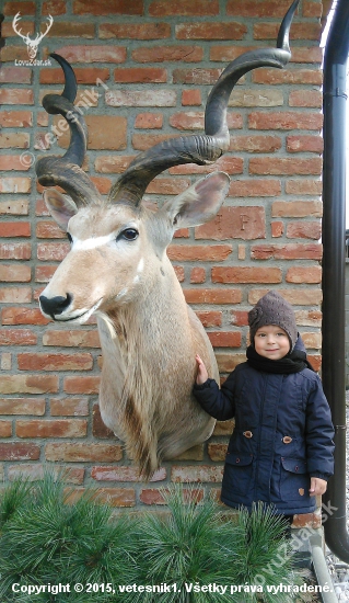 Kudu a moja laska