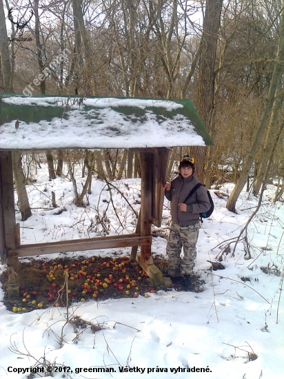 dnešne prikrmovanie