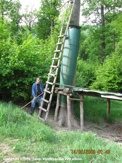 Kŕmne zariadenie vo Vlčom