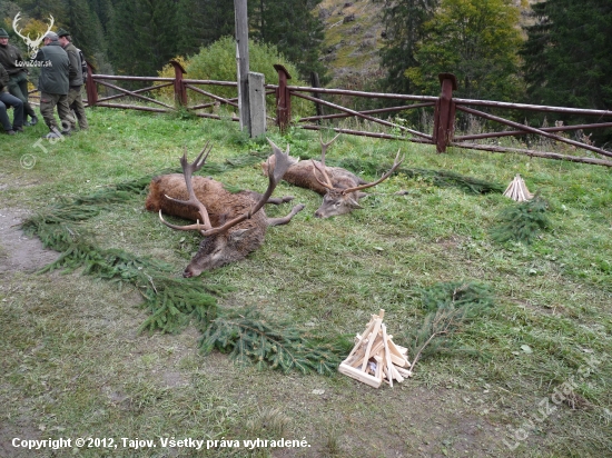 Ulovená zver si zaslúži primeranú úctu