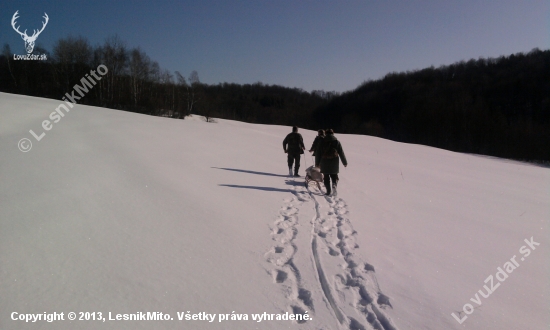 Včerajšia prechádzka spojená s prikrmovanim