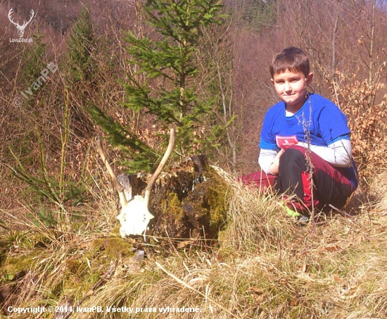 ...zlata sa už nedožil...