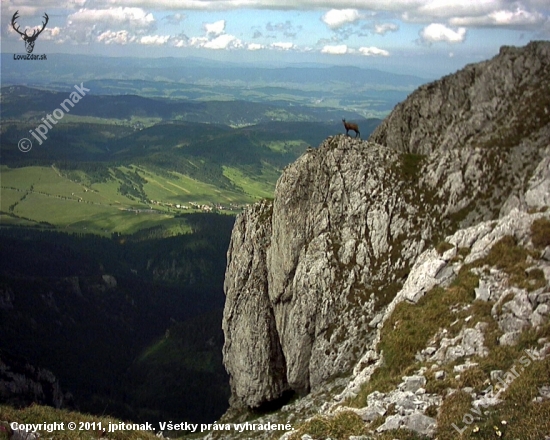 Strážnik.