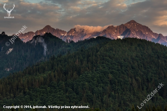 V.Kôň a Rogova