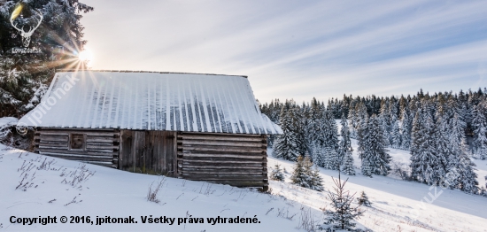 Zima na poľane