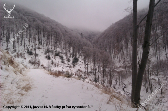 pohľad nad zasneženou krajinou