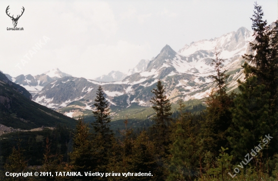 Vysoké Tatry