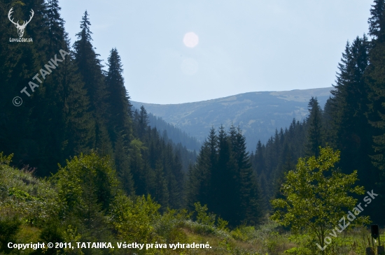 Latiborská hoľa-Nízke Tatry