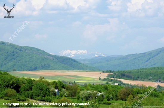 Návraty do rodiska...