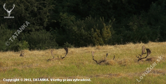 Ako partyzáni...