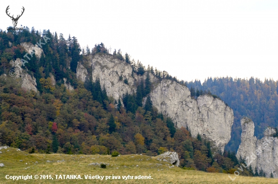 Na Kráľovej studni