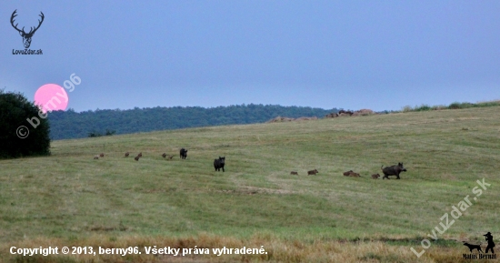 vláčik