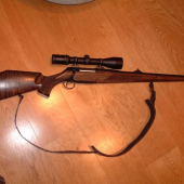 sauer 202