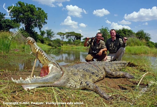 Zimbabwe Zambezi 2012