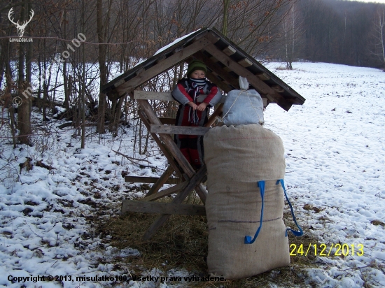 vianočná prechádzka