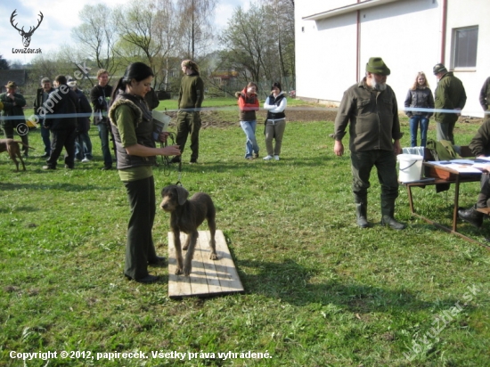 jarní svod Perknov 2012