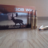 Blaser CDC 10,4g , 308 Win.