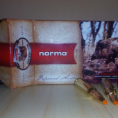 Norma TIPSTRIKE 11g. , 308 Win.