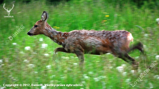 a už sa aj brala preč