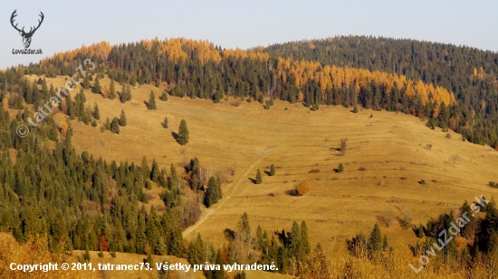 Tam kde sa ovečky pasu