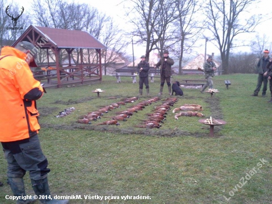 Poľovnícka organizácia HUNTER Lesenice